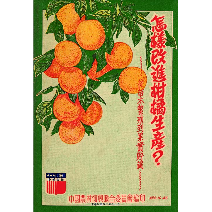 怎樣改進柑橘生產？